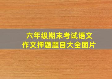 六年级期末考试语文作文押题题目大全图片