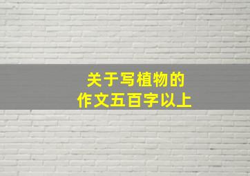 关于写植物的作文五百字以上