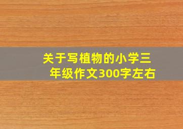 关于写植物的小学三年级作文300字左右