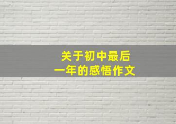 关于初中最后一年的感悟作文