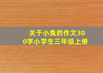 关于小兔的作文300字小学生三年级上册