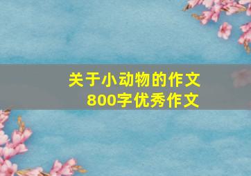 关于小动物的作文800字优秀作文