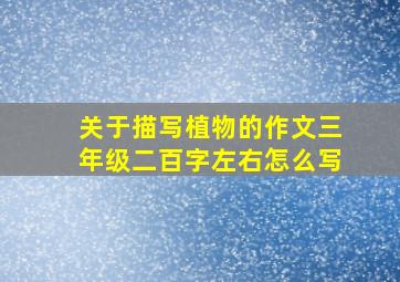 关于描写植物的作文三年级二百字左右怎么写