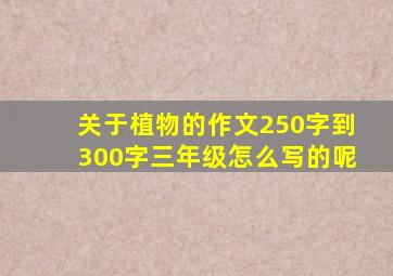 关于植物的作文250字到300字三年级怎么写的呢