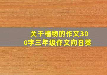 关于植物的作文300字三年级作文向日葵