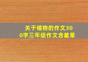 关于植物的作文300字三年级作文含羞草