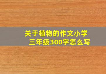 关于植物的作文小学三年级300字怎么写