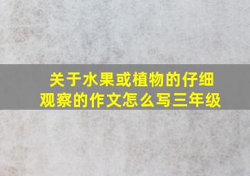 关于水果或植物的仔细观察的作文怎么写三年级