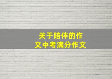 关于陪伴的作文中考满分作文