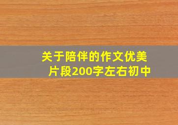 关于陪伴的作文优美片段200字左右初中