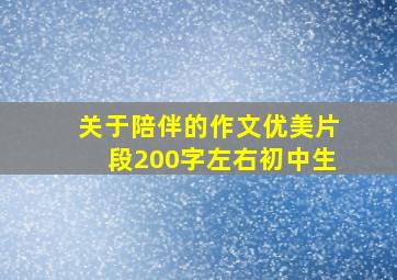 关于陪伴的作文优美片段200字左右初中生