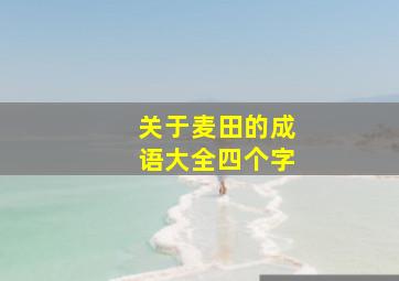 关于麦田的成语大全四个字