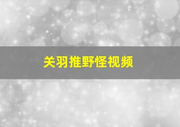 关羽推野怪视频