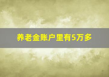 养老金账户里有5万多