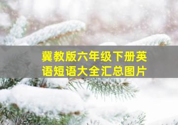 冀教版六年级下册英语短语大全汇总图片