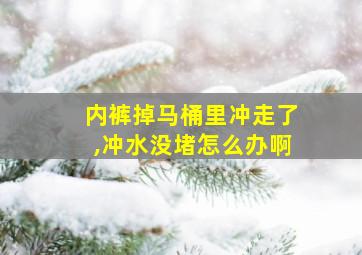 内裤掉马桶里冲走了,冲水没堵怎么办啊