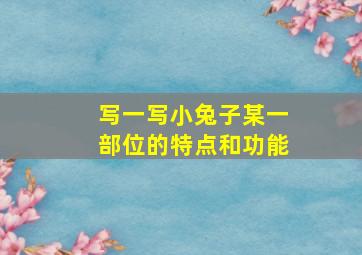 写一写小兔子某一部位的特点和功能