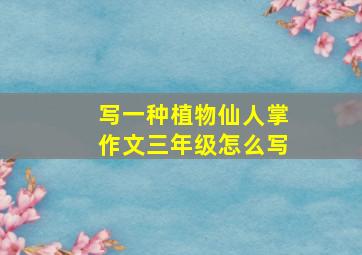 写一种植物仙人掌作文三年级怎么写