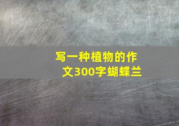 写一种植物的作文300字蝴蝶兰