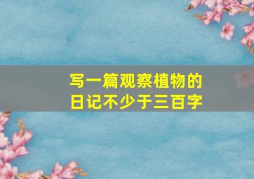 写一篇观察植物的日记不少于三百字