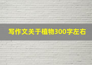 写作文关于植物300字左右