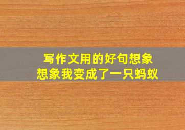 写作文用的好句想象想象我变成了一只蚂蚁