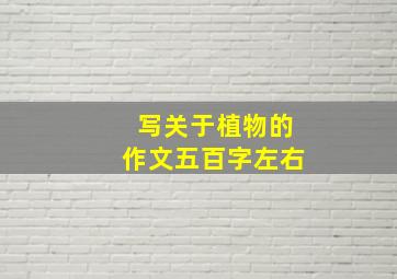 写关于植物的作文五百字左右