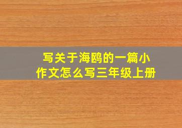 写关于海鸥的一篇小作文怎么写三年级上册