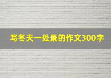 写冬天一处景的作文300字