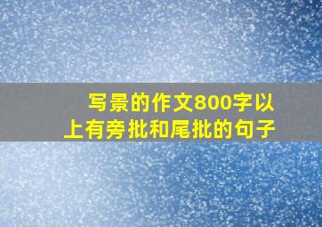 写景的作文800字以上有旁批和尾批的句子