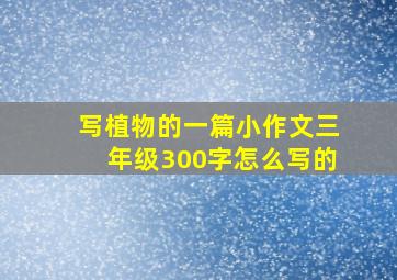 写植物的一篇小作文三年级300字怎么写的