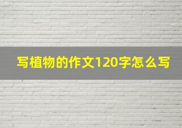 写植物的作文120字怎么写