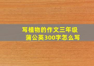 写植物的作文三年级蒲公英300字怎么写