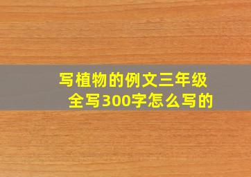 写植物的例文三年级全写300字怎么写的