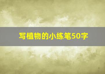 写植物的小练笔50字