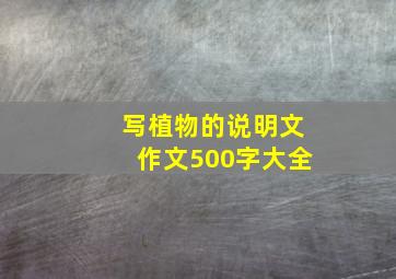 写植物的说明文作文500字大全