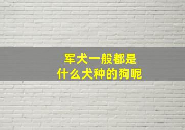 军犬一般都是什么犬种的狗呢