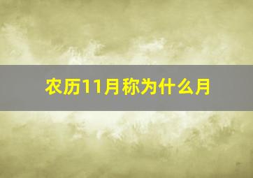 农历11月称为什么月