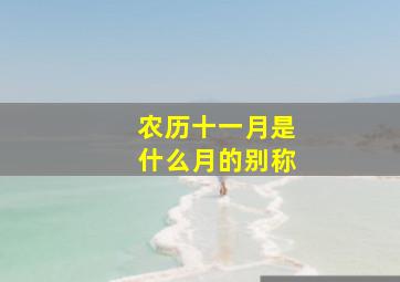 农历十一月是什么月的别称