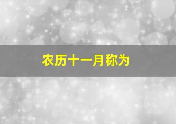 农历十一月称为