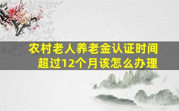 农村老人养老金认证时间超过12个月该怎么办理