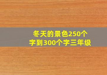 冬天的景色250个字到300个字三年级