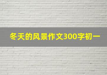 冬天的风景作文300字初一