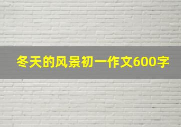 冬天的风景初一作文600字