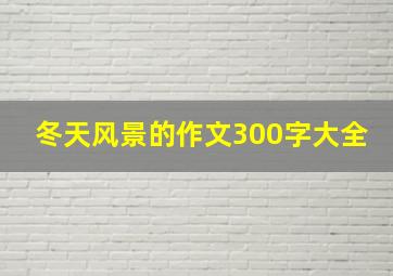 冬天风景的作文300字大全