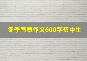 冬季写景作文600字初中生