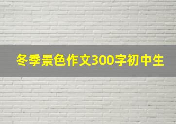 冬季景色作文300字初中生