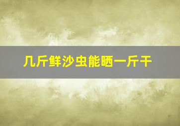 几斤鲜沙虫能晒一斤干