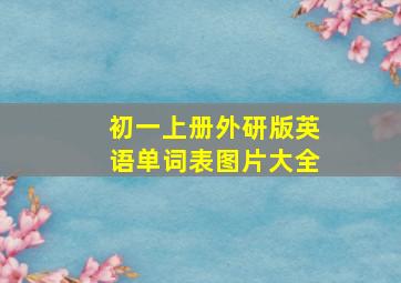 初一上册外研版英语单词表图片大全