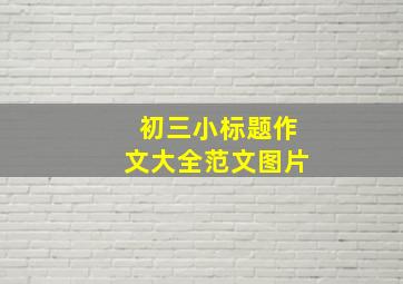 初三小标题作文大全范文图片